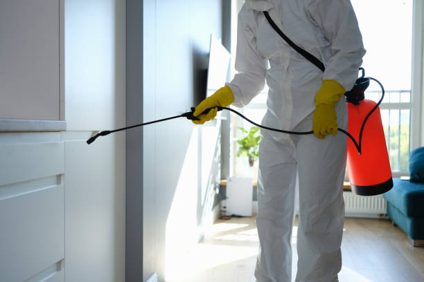 Best Mold Cleaning Services  in Seneca, IL